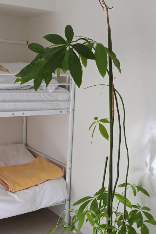 Guest House M104 Каґошіма Екстер'єр фото